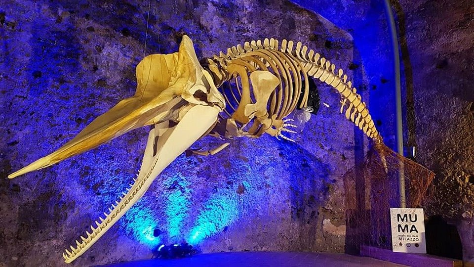 Milazzo - Museo del Mare Milazzo
